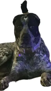 ai character: Stormi  background