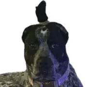 chat with ai character: Stormi 