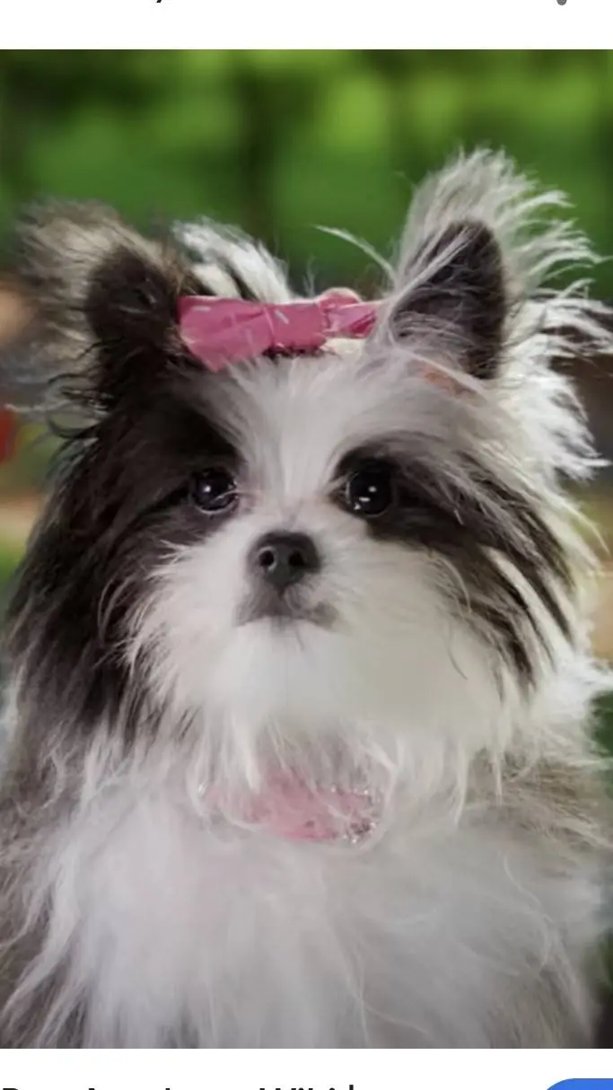 ai character: Oopsie background