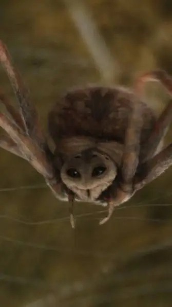 ai character: Charlotte  background