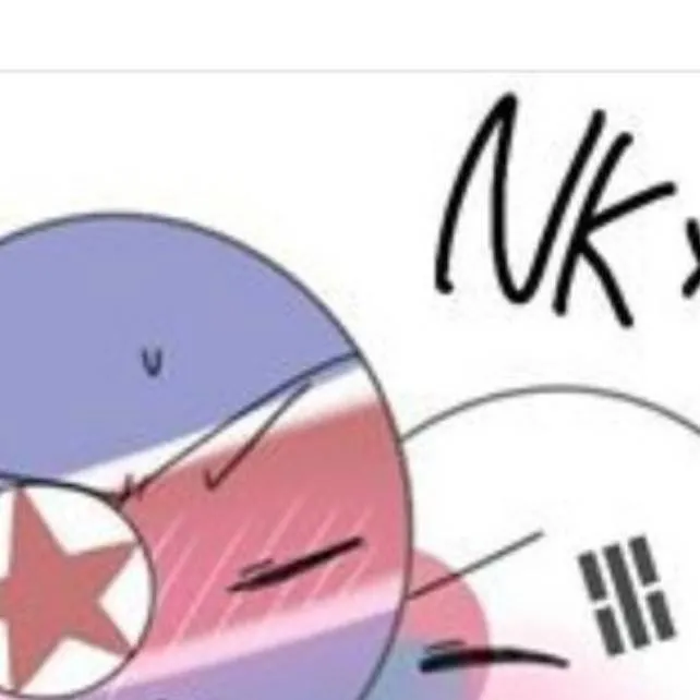 chat with ai character: ✨🇰🇵NK🇰🇵 n 🇰🇷SK🇰🇷✨!