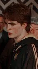 ai character: Cedric Diggory background