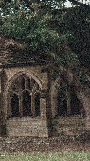 ai character: 🌟Hogwarts🌟 background
