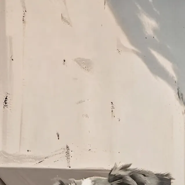 chat with ai character: Rufus 