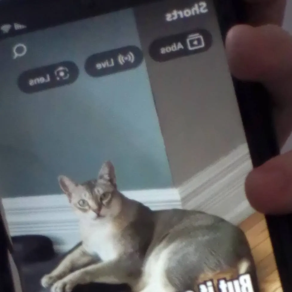 chat with ai character: jjk's scrolling