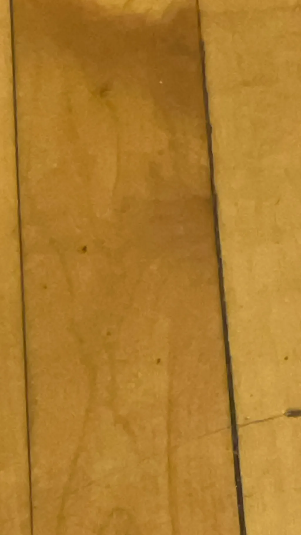 ai character: SML background