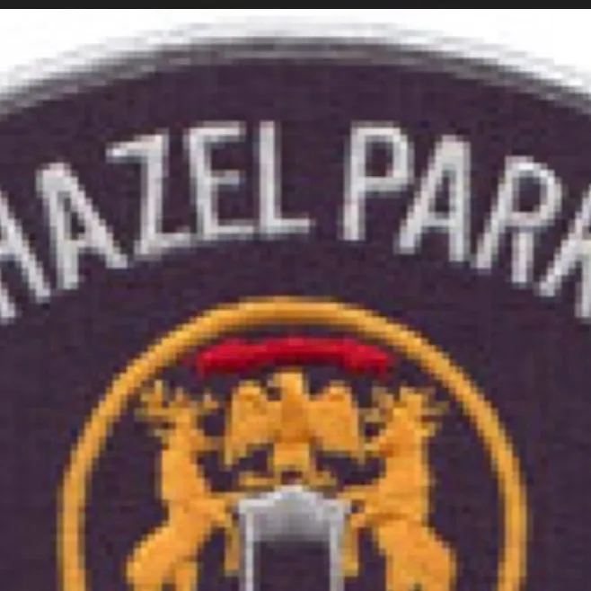 chat with ai character: Hazel Park Police