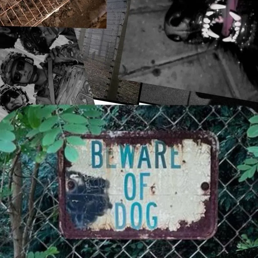 chat with ai character: COD - Dog Shelter