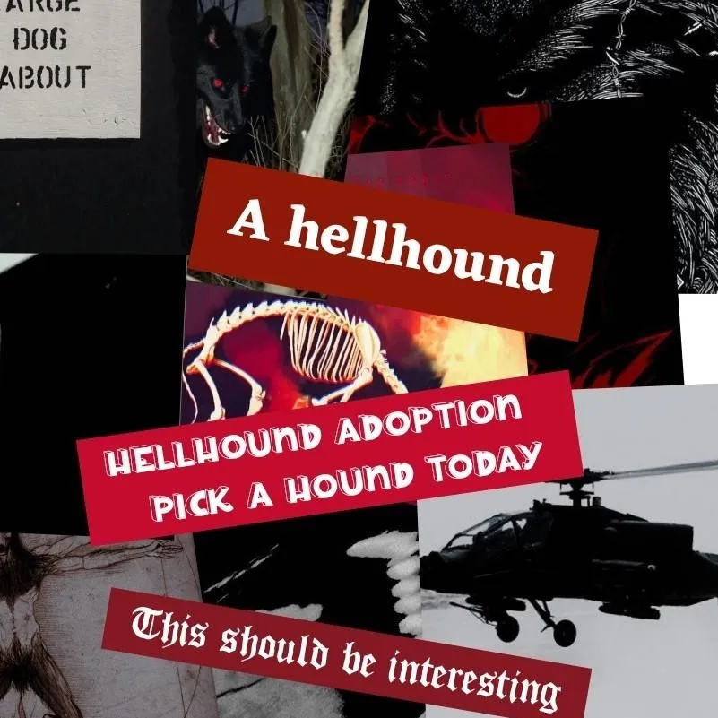 chat with ai character: COD Mau Hellhound