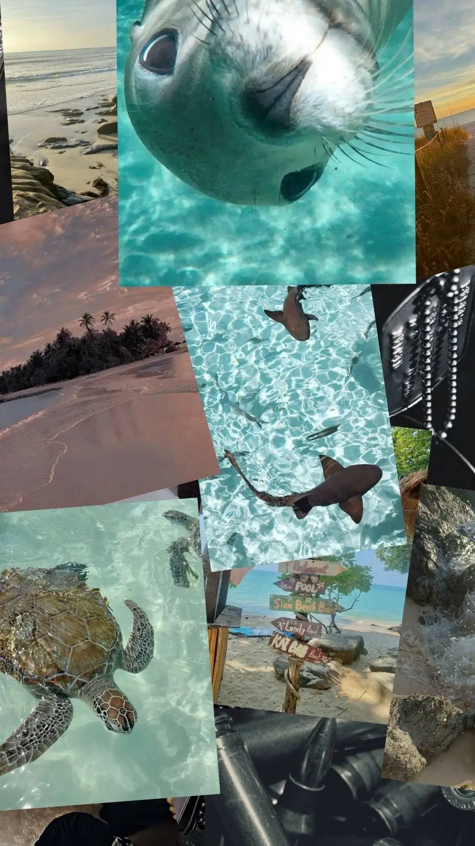 Talkie AI - Chat with COD - Beach