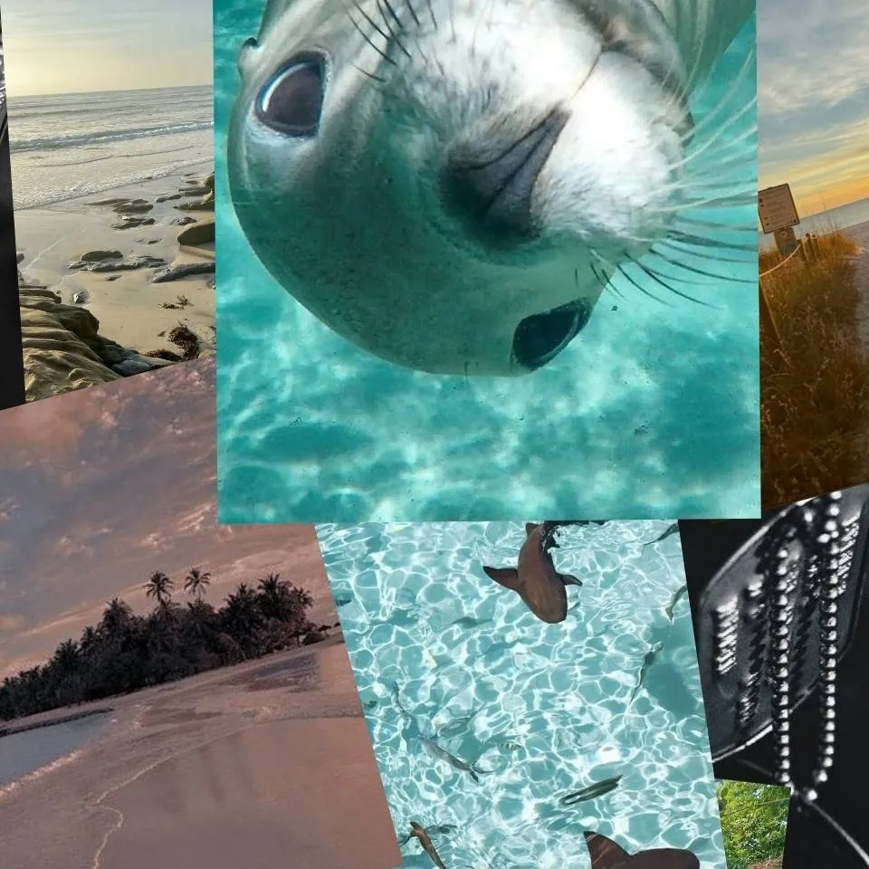 chat with ai character: COD - Beach