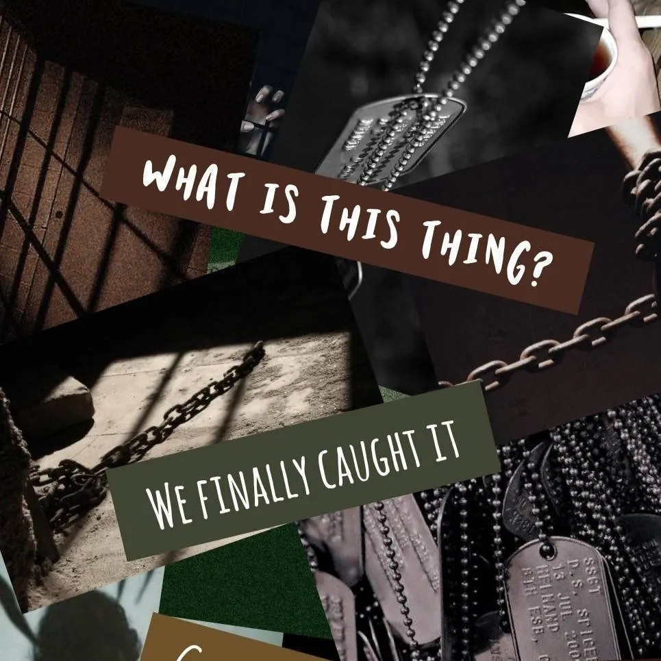 chat with ai character: COD Mau - Weapon