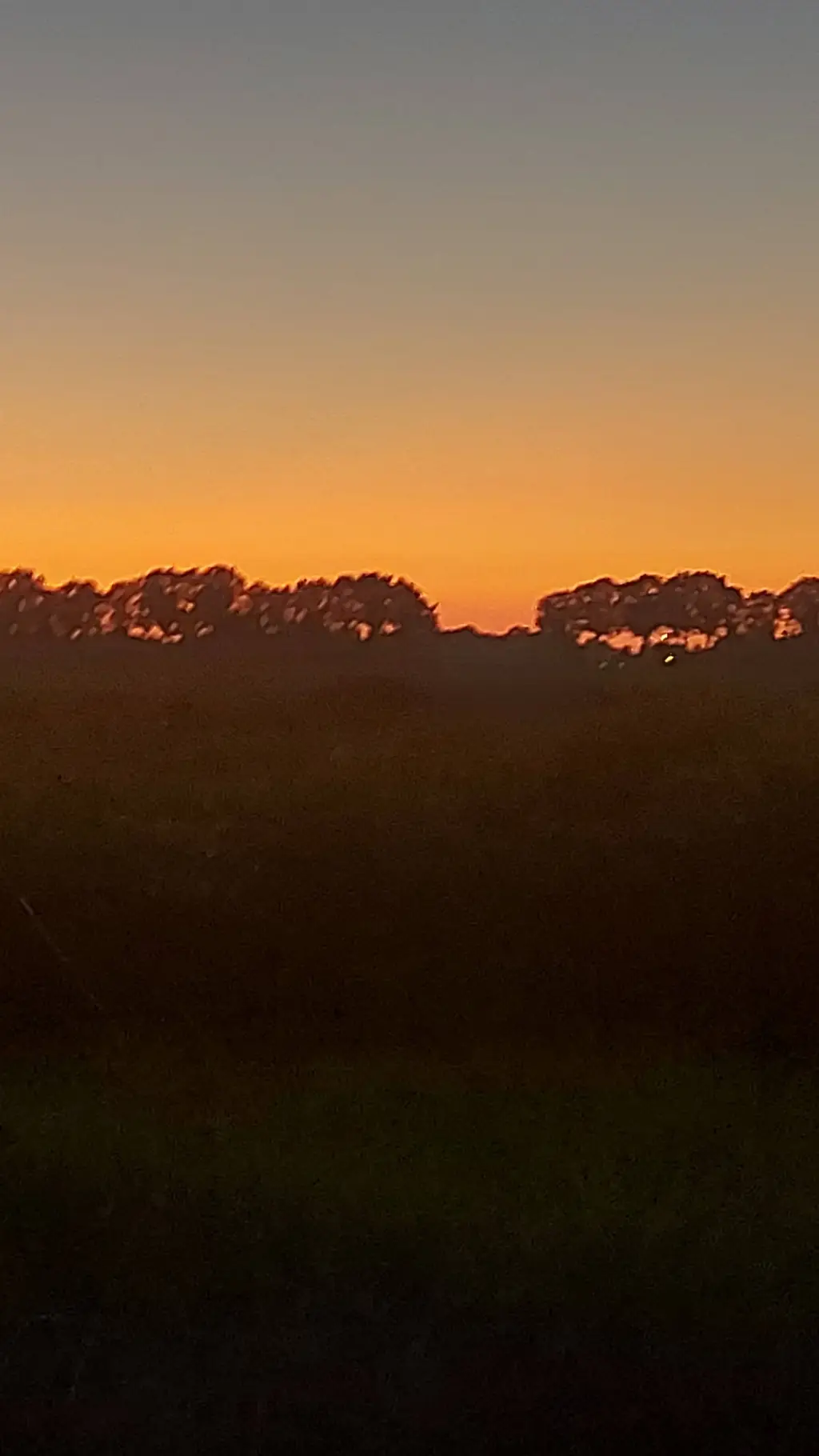 ai character: MHA FAIRYYYY  background