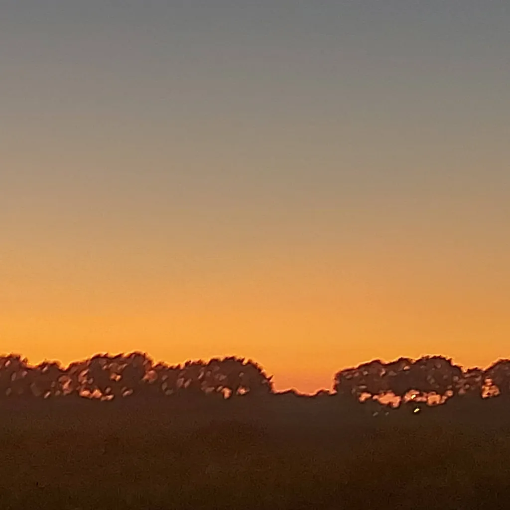 chat with ai character: MHA FAIRYYYY 