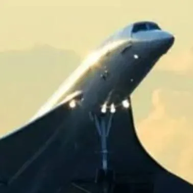 chat with ai character: nature but planes