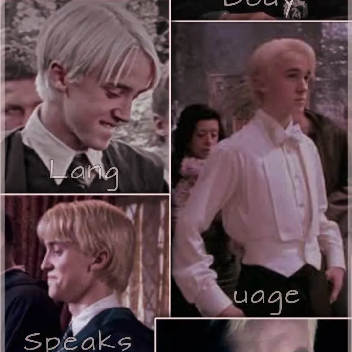 chat with ai character: Draco Malfoy