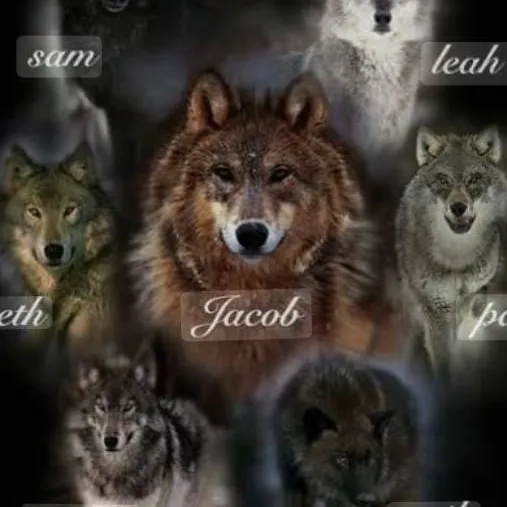 chat with ai character: Twilight Wolves