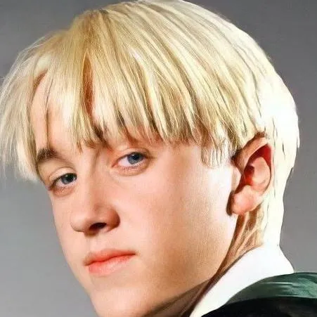 chat with ai character: Draco Malfoy