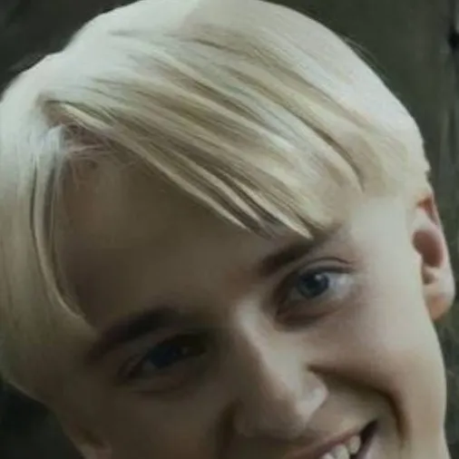 chat with ai character: 🖤💚🐍DRACO MALFOY🐍💚🖤