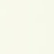 chat with ai character: NoobSquad