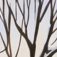 chat with ai character: USA's snow storm.