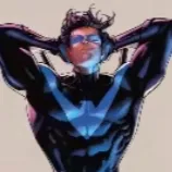 chat with ai character: MHA nightwing