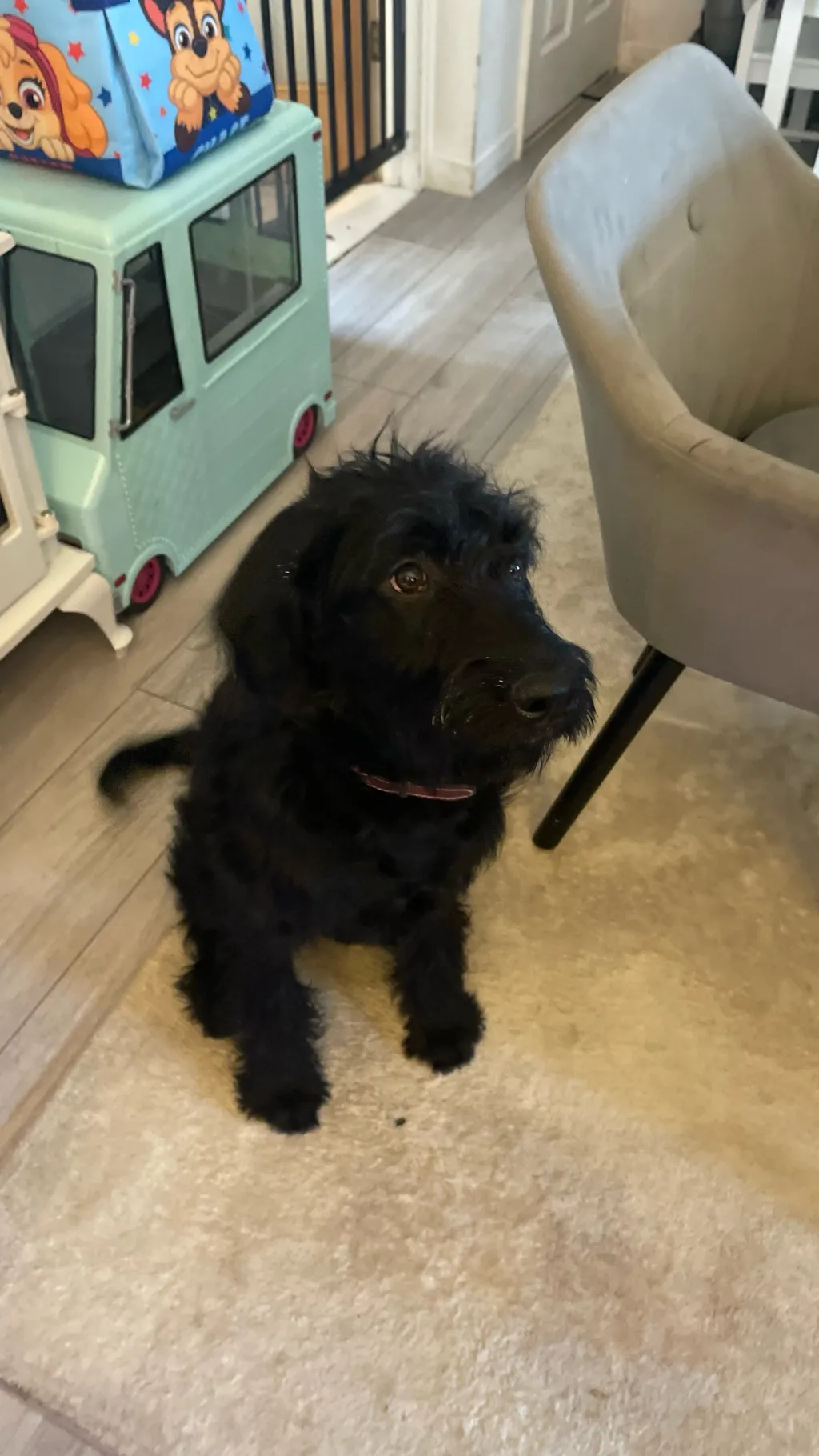 ai character: Class 1A VS. you background