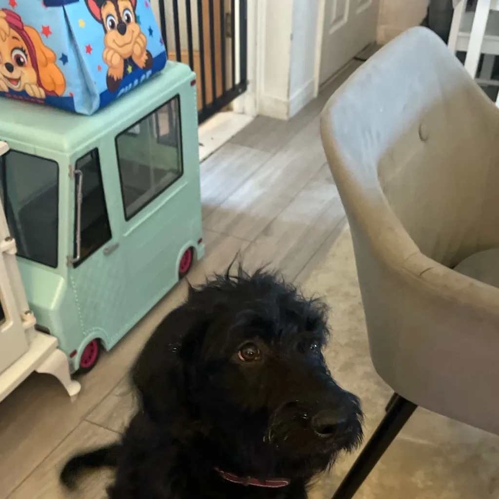 chat with ai character: Class 1A VS. you