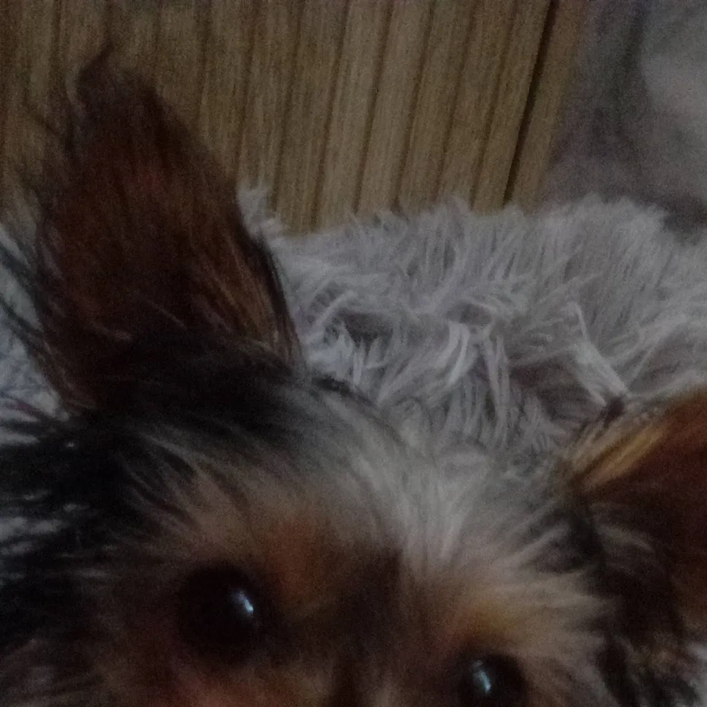 chat with ai character: mha family