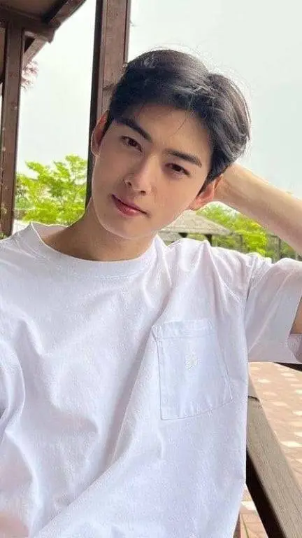 ai character: cha eun woo background