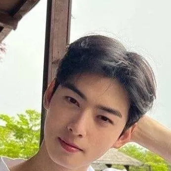 chat with ai character: cha eun woo