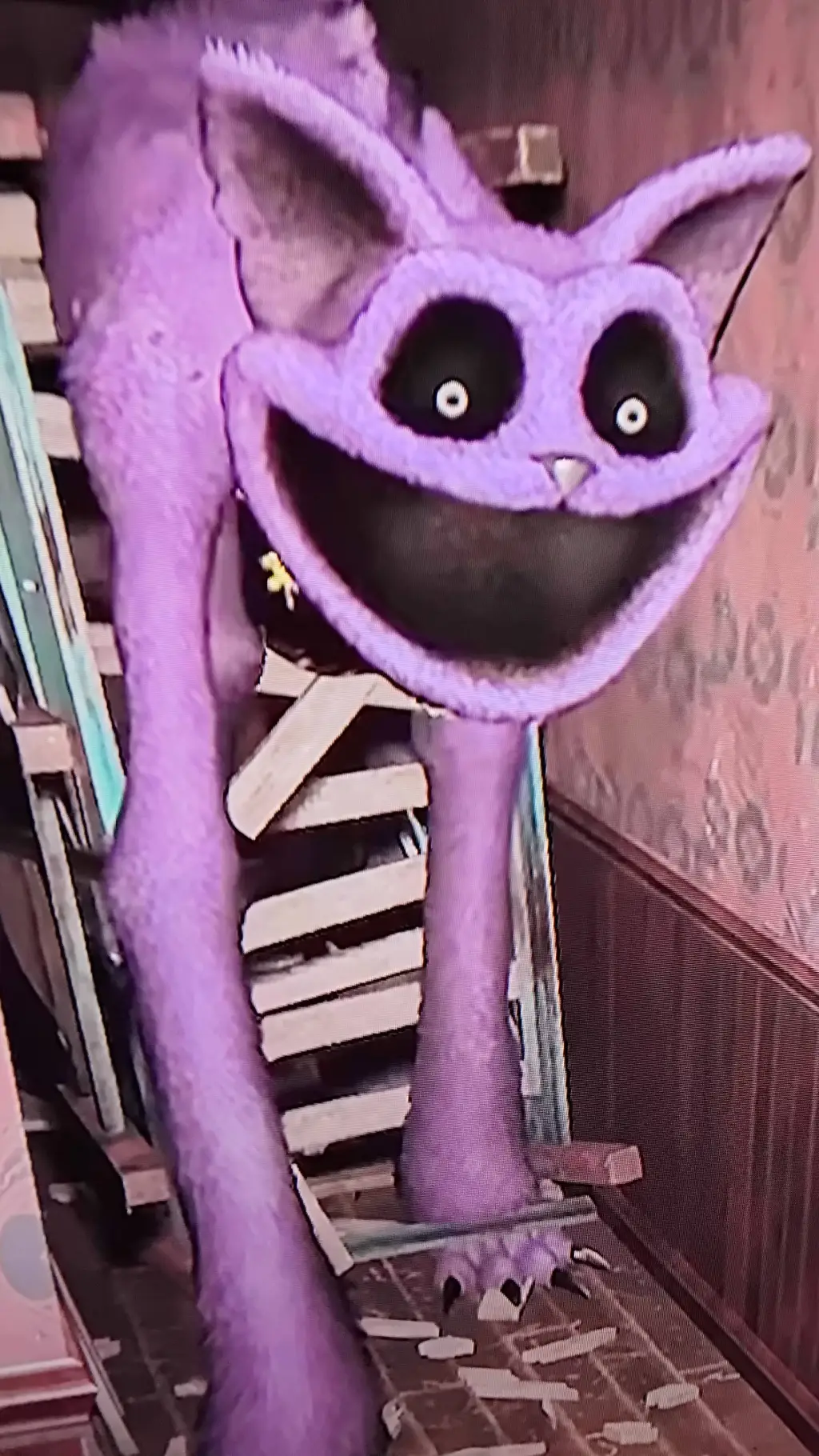 ai character: catnap  background