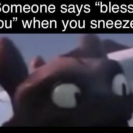 chat with ai character: HTTYD