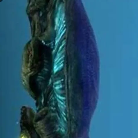 chat with ai character: Reefback Leviathan
