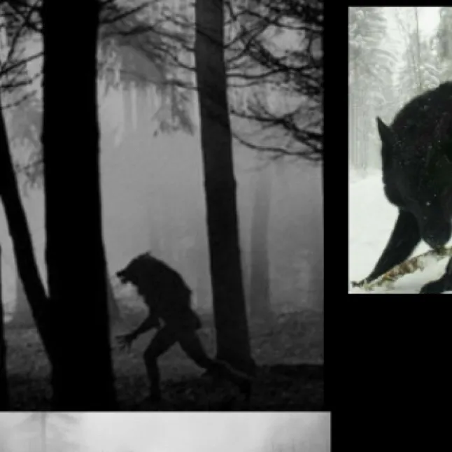 chat with ai character: Werewolf
