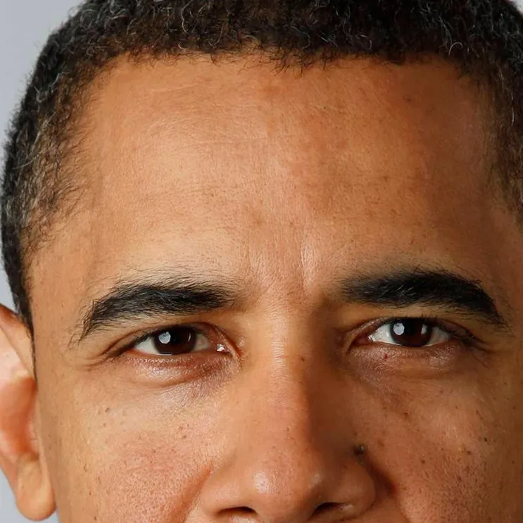chat with ai character: Obama