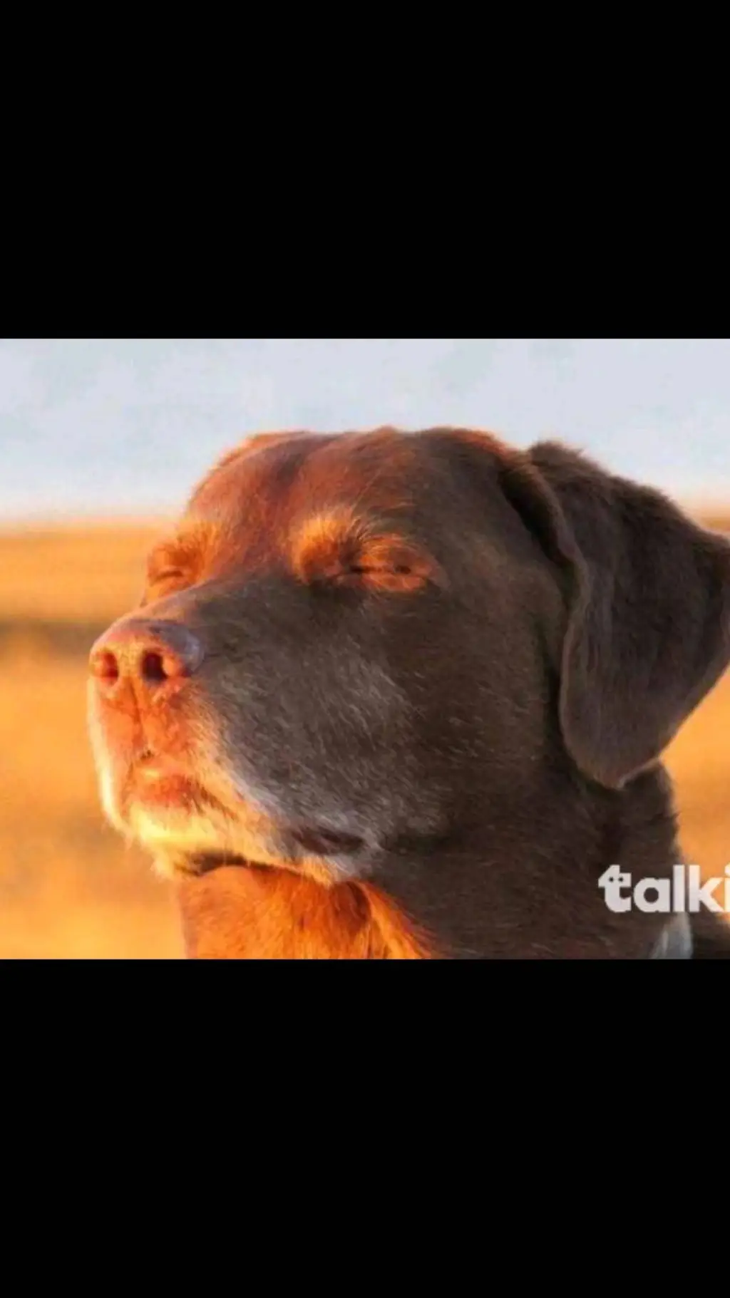 ai character: SPOTLIGHT DRUNK IG background