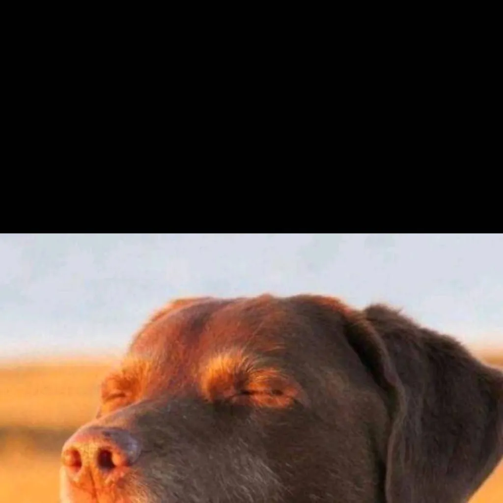 chat with ai character: SPOTLIGHT DRUNK IG