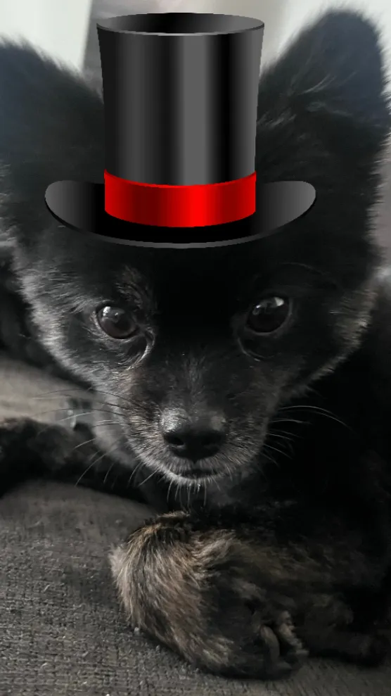 ai character: My dog background