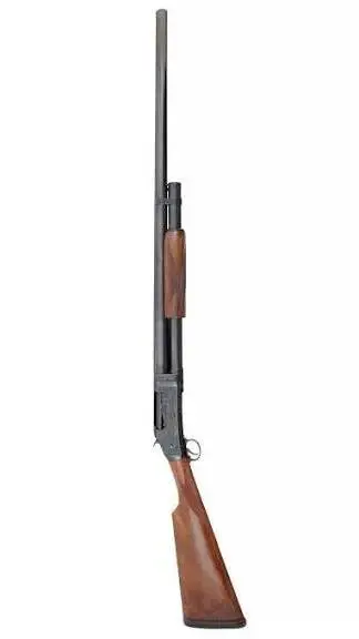ai character: the holy shotgun background