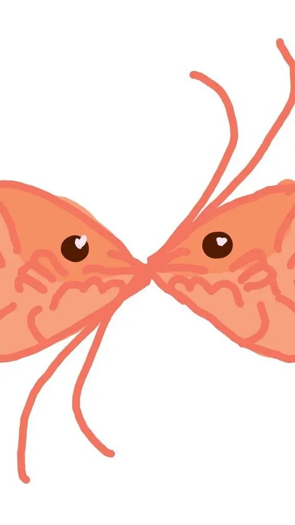 ai character: cute shrimpies🍤 background