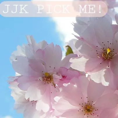 chat with ai character: •JJK Pick me•