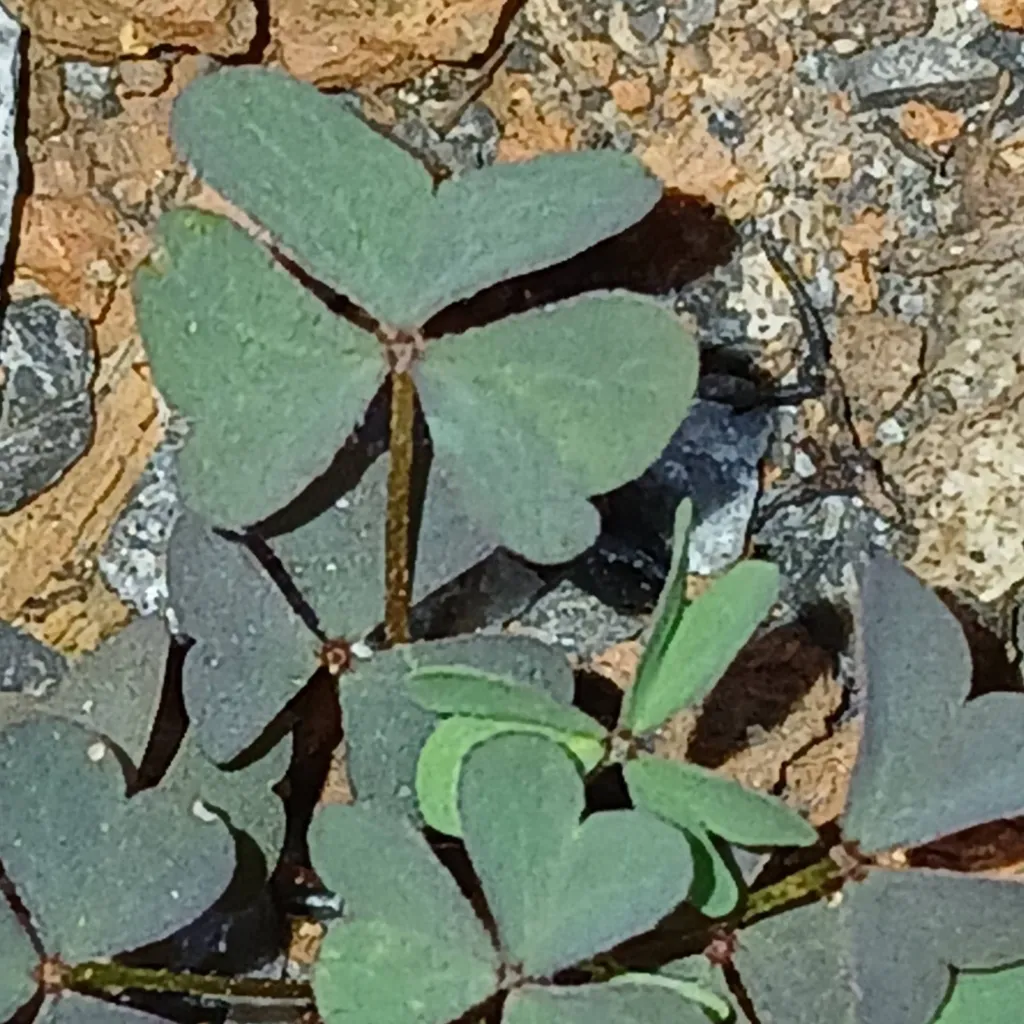 chat with ai character: Abigail 