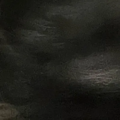 chat with ai character:  Your puppies ￼