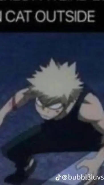 ai character: bakugo as a kitty  background