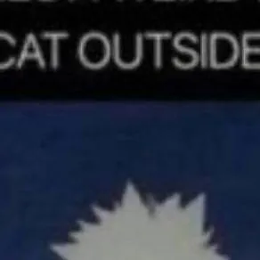 chat with ai character: bakugo as a kitty 