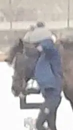 ai character: Horse riding  background