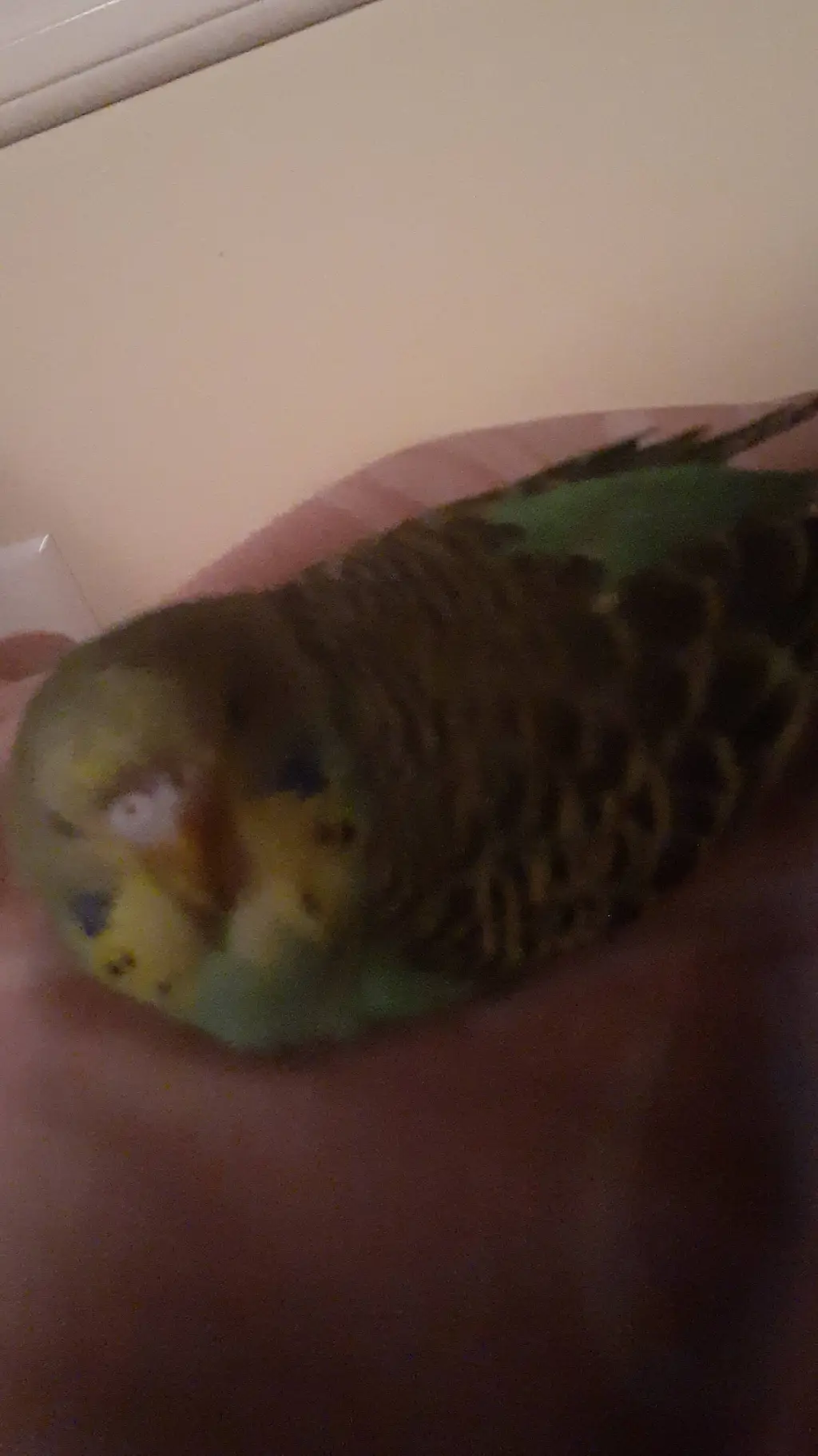 ai character: Kny New hashira!  background