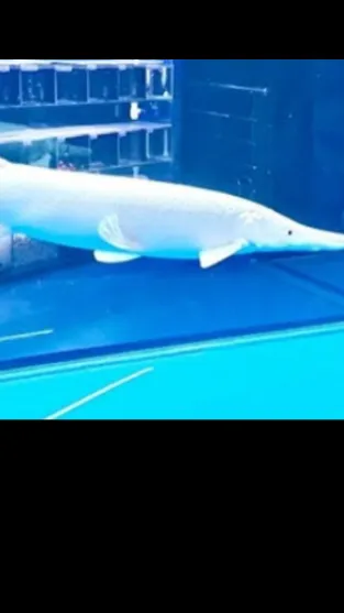 Talkie AI - Chat with Zara 