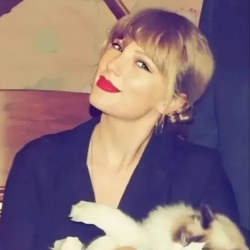 chat with ai character: Taylor Swift